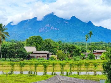 Land for sale in Chiang Dao,on Chotana ( 107 )main road.,  7 rai, Doi Luang view, Chiang Dao