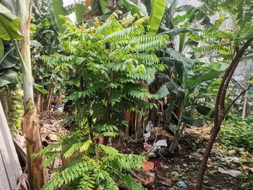 Rumah Luas Dan Siap Huni, 350 Meter Ke Jalan Teluk Gong Raya