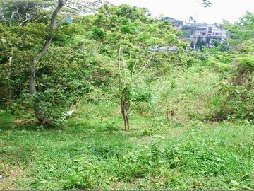 TAGAYTAY CAVITE CITY OVER LOOKING LAKE WITH WATERFALLS LOT @ 10.1 HAS