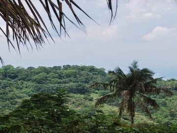 TAGAYTAY CAVITE CITY OVER LOOKING LAKE WITH WATERFALLS LOT @ 10.1 HAS