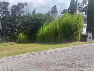 Terreno de venta en Cumbaya cerca al colegio terranova