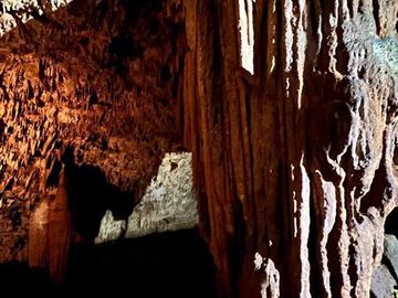 28 hectareas con cenote cerca de atracciones naturales turísticas de Yucatán