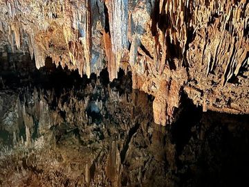 28 hectareas con cenote cerca de atracciones naturales turísticas de Yucatán