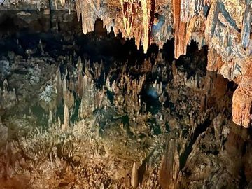 28 hectareas con cenote cerca de atracciones naturales turísticas de Yucatán