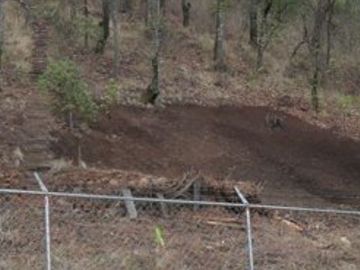 Propiedad de 3 has  en tres puentes( pipioltepec) Ixtla a 8 minutos de valle