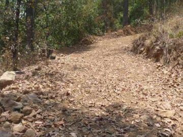 Propiedad de 3 has  en tres puentes( pipioltepec) Ixtla a 8 minutos de valle