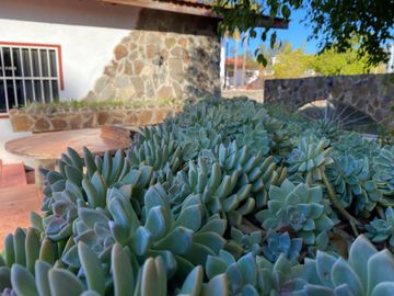 Hacienda Comercial   en  el corazón del  Valle de Guadalupe