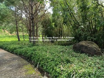 Lot for Sale in Tanay Rizal - 1,529sqm