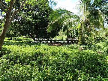 Lot for Sale in Tanay Rizal - 1,529sqm