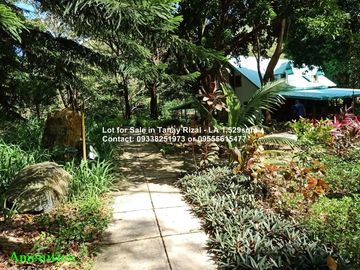 Lot for Sale in Tanay Rizal - 1,529sqm