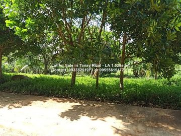 Lot for Sale in Tanay Rizal - 1,529sqm