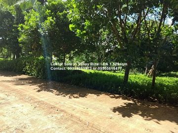 Lot for Sale in Tanay Rizal - 1,529sqm