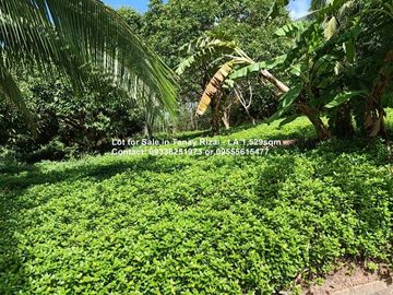 Lot for Sale in Tanay Rizal - 1,529sqm