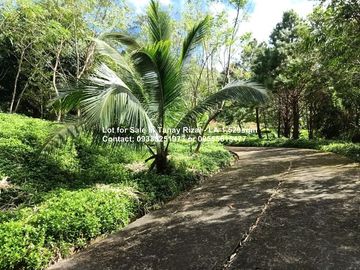 Lot for Sale in Tanay Rizal - 1,529sqm