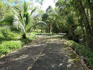 Lot for Sale in Tanay Rizal - 1,529sqm