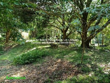 Lot for Sale in Tanay Rizal - 1,529sqm