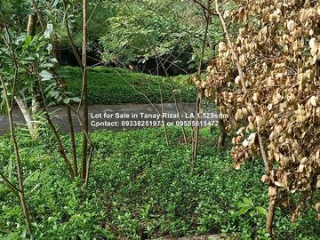 Lot for Sale in Tanay Rizal - 1,529sqm