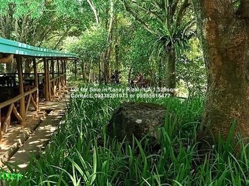 Lot for Sale in Tanay Rizal - 1,529sqm
