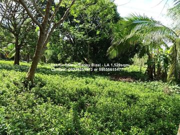 Lot for Sale in Tanay Rizal - 1,529sqm