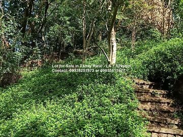 Lot for Sale in Tanay Rizal - 1,529sqm
