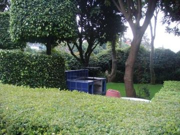 EN VENTA EXCELENTE DEPARTAMENTO EN ZONA NORTE DE CUERNAVACA MOR. TODOS LOS SERVICIOS, ZONA FRESCA. TOTALMENTE AMUEBLADO.