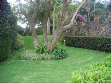 EN VENTA EXCELENTE DEPARTAMENTO EN ZONA NORTE DE CUERNAVACA MOR. TODOS LOS SERVICIOS, ZONA FRESCA. TOTALMENTE AMUEBLADO.