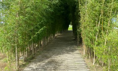 Nuvali Prime Residential Lot For Sale Mondia Expansion By Alveo Land HighElevation Tagaytay Ridge
