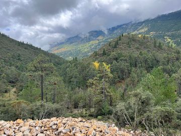 Vendo Hermoso Terreno, San Antonio de las Alazanas, Arteaga, Coahuila, Descendente, con unas vistas espectaculares