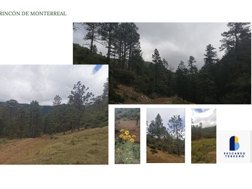 Vendo Hermoso Terreno, San Antonio de las Alazanas, Arteaga, Coahuila, Descendente, con unas vistas espectaculares