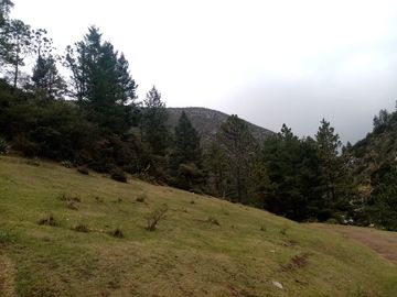 Vendo Hermoso Terreno, San Antonio de las Alazanas, Arteaga, Coahuila, Descendente, con unas vistas espectaculares