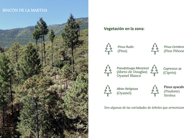 Vendo Hermoso Terreno, San Antonio de las Alazanas, Arteaga, Coahuila, Descendente, con unas vistas espectaculares