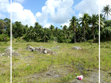 Commercial Lot For Sale in Sorsogon City