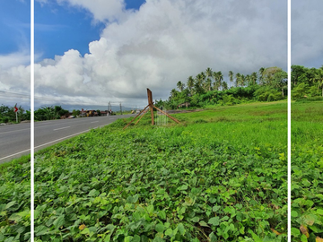 Commercial Lot For Sale in Sorsogon City