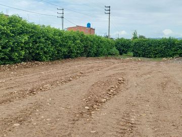 VENDO / ALQUILO TERRENO 1.0 HA EN VIA DE EVITAMIENTO, TARAPOTO - PERÚ