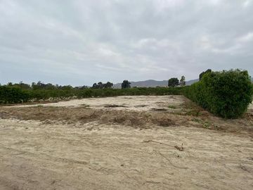 Lotes en Asia desde 300m2 -Independizados- Km 101 Pan. Sur