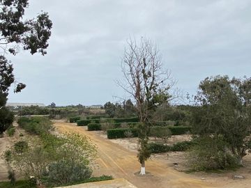 Lotes en Asia desde 300m2 -Independizados- Km 101 Pan. Sur