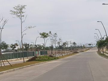 House and Lot For Sale in Cavite near  ALABANG and DE LA SALLE VERMOSA