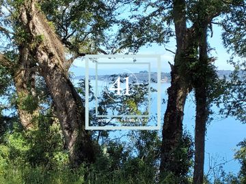 Parcela en Frutillar  con Borde Lago En Venta
