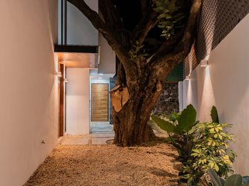 Magnífica Casa NUEVA con Alberca en privada en Buena Vista, Cuernavaca - VENTA