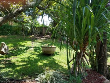 Casa con cañada en venta en Las Cañadas en Zapopan