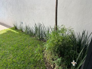 LOMAS DE LA SELVA CUERNAVACA ESTRENE CASA 4 RECAMARAS , ALBERCA