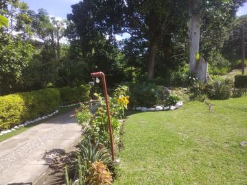 VENTA PARCELA EL PARAMITO