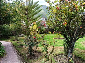 VENDO LINDA CASA VALLE SAGRADO URUBAMBA CUSCO!
