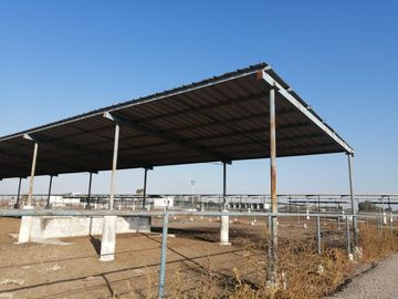 Establo ubicado en la Col. Agricola la Popular, Gomez Palacio, Durango