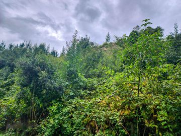 Hermosa Parcela de 1,7ha en Futrono, Condominio con acceso a playa del Lago Ranco