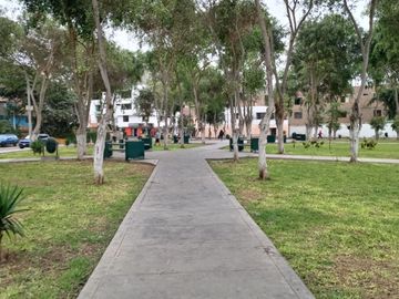 VENTA DE DEPARTAMENTO TRIPLEX DE ESTRENO A/T 70 M2 EN DISTRITO DE LOS OLIVOS