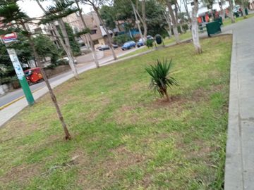 VENTA DE DEPARTAMENTO TRIPLEX DE ESTRENO A/T 70 M2 EN DISTRITO DE LOS OLIVOS