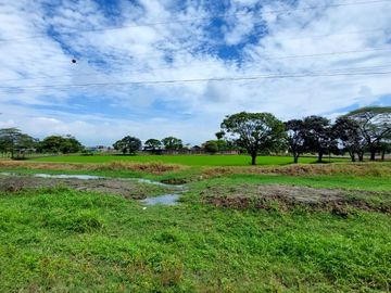 Venta Terreno Comercial Industrial 16000 m² Sector Bypass de Yaguachi
