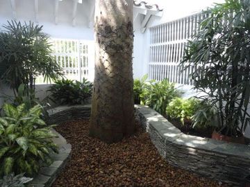 VENDO FINCA EN SANTA FE DE ANTIOQUIA A 1 KM DEL PUEBLO
