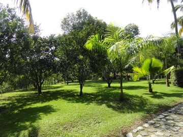 VENDO FINCA EN SANTA FE DE ANTIOQUIA A 1 KM DEL PUEBLO